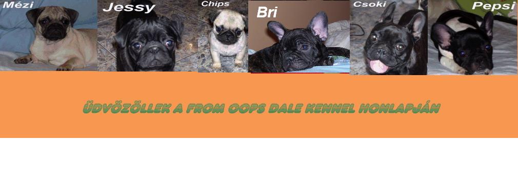 From Oops Dale Kennel